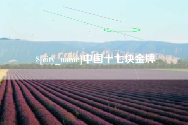 舞钢中国十七块金牌