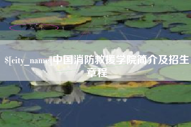 舞钢中国消防救援学院简介及招生章程