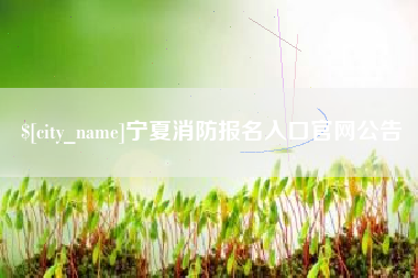 舞钢宁夏消防报名入口官网公告