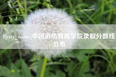 舞钢中国消防救援学院录取分数线公布