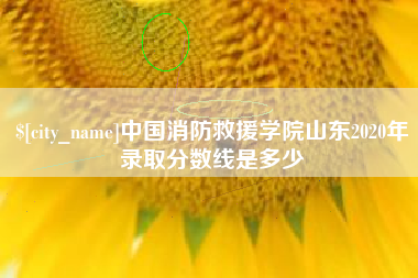 舞钢中国消防救援学院山东2020年录取分数线是多少