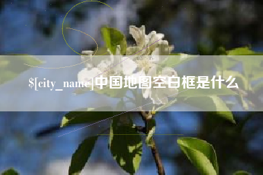舞钢中国地图空白框是什么