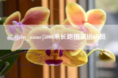 舞钢5000米长跑国家运动员