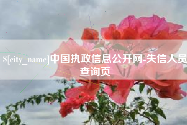 舞钢中国执政信息公开网-失信人员查询页