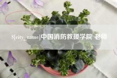 舞钢中国消防救援学院 老师