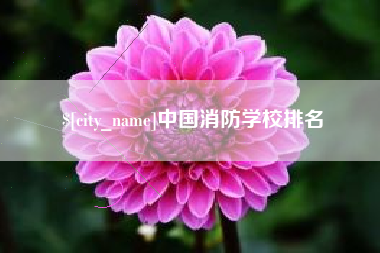 舞钢中国消防学校排名