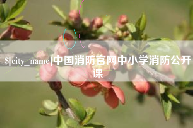 舞钢中国消防官网中小学消防公开课