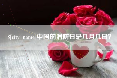 舞钢中国的消防日是几月几日？