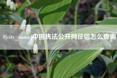 舞钢中国执法公开网征信怎么查询