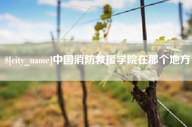 舞钢中国消防救援学院在那个地方