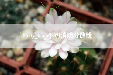 舞钢2021消防分数线