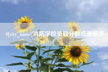舞钢消防学校录取分数线是多少