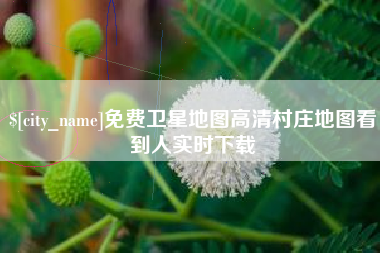 舞钢免费卫星地图高清村庄地图看到人实时下载