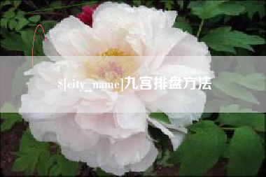 舞钢九宫排盘方法