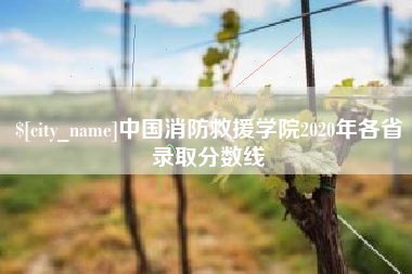 舞钢中国消防救援学院2020年各省录取分数线