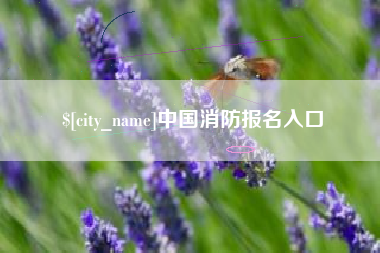 舞钢中国消防报名入口