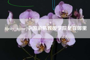 舞钢中国消防救援学院是在哪里