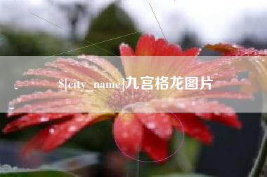 舞钢九宫格龙图片
