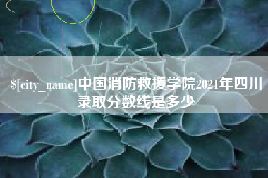 舞钢中国消防救援学院2021年四川录取分数线是多少