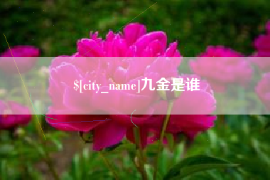 舞钢九金是谁
