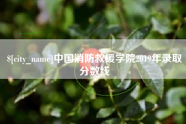 舞钢中国消防救援学院2019年录取分数线