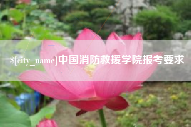 舞钢中国消防救援学院报考要求