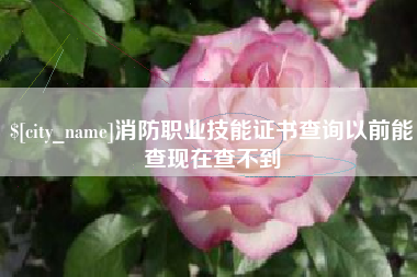 舞钢消防职业技能证书查询以前能查现在查不到