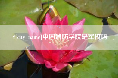 舞钢中国消防学院是军校吗