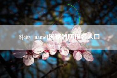 舞钢国家消防报名入口
