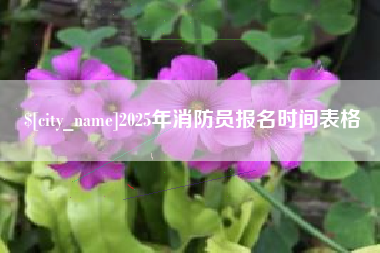 舞钢2025年消防员报名时间表格
