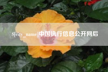 舞钢中国执行信息公开网后