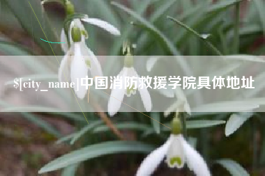 舞钢中国消防救援学院具体地址