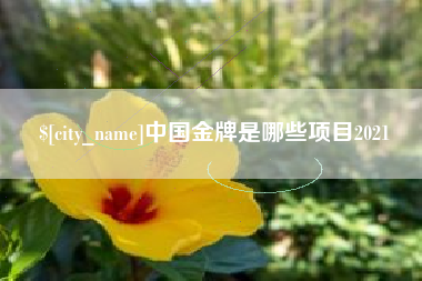 舞钢中国金牌是哪些项目2021