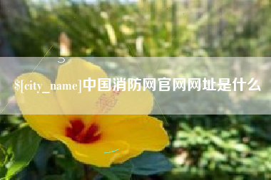 舞钢中国消防网官网网址是什么
