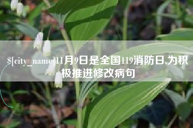 舞钢11月9日是全国119消防日,为积极推进修改病句