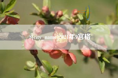 舞钢2021年9宫格