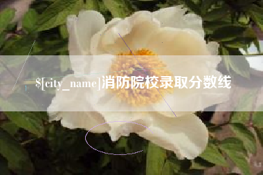 舞钢消防院校录取分数线