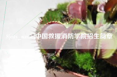 舞钢中国救援消防学院招生简章