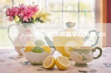 舞钢中国消防救援学院分数2020