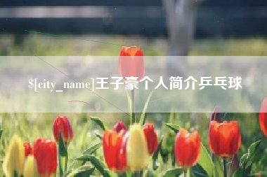 舞钢王子豪个人简介乒乓球