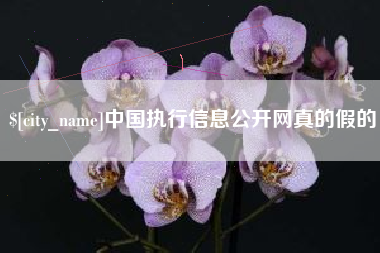 舞钢中国执行信息公开网真的假的