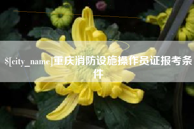 舞钢重庆消防设施操作员证报考条件