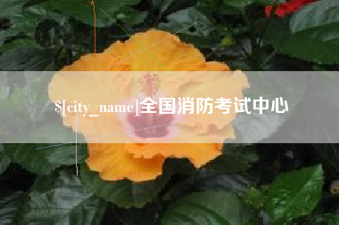 舞钢全国消防考试中心