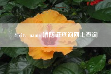 舞钢消防证查询网上查询