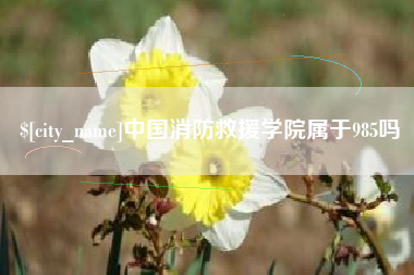 舞钢中国消防救援学院属于985吗