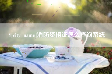 舞钢消防资格证怎么查询系统