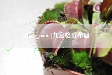 舞钢九宫格分布图