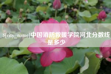 舞钢中国消防救援学院河北分数线是多少