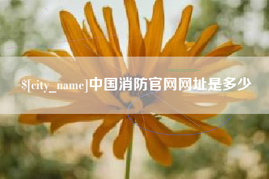 舞钢中国消防官网网址是多少