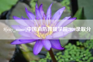 舞钢中国消防救援学院2020录取分